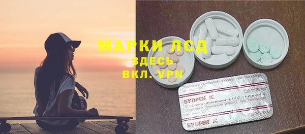 гашик Инсар