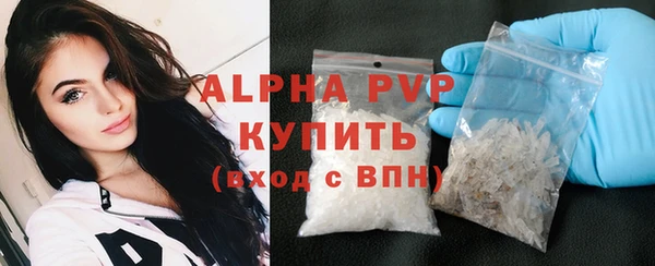 гашик Инсар