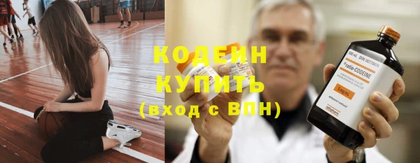 гашик Инсар