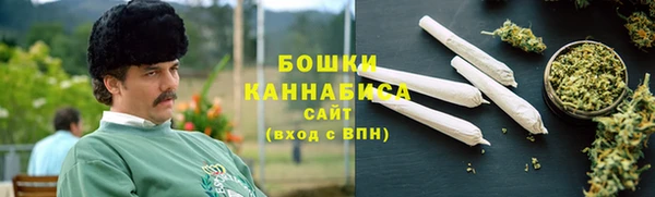 сатива Иннополис