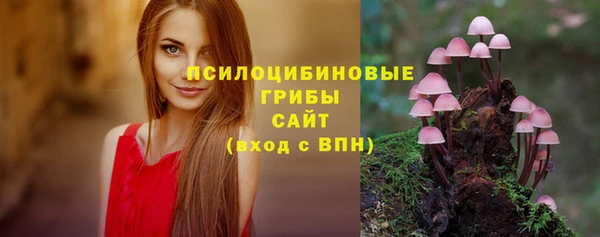 гашик Инсар