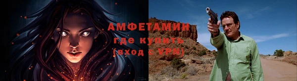 сатива Иннополис