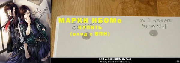 гашик Инсар