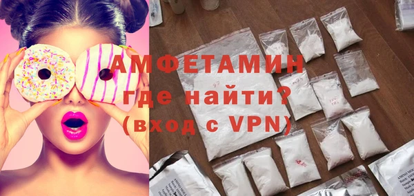 сатива Иннополис
