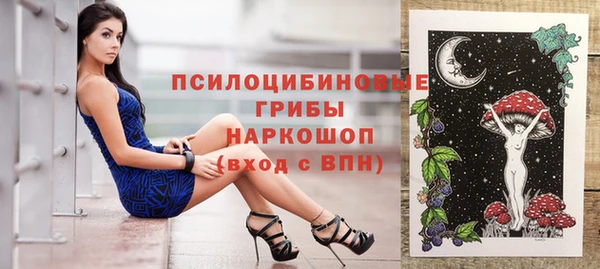 стафф Каменка