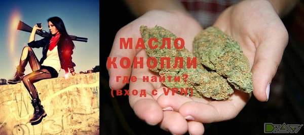 сатива Иннополис