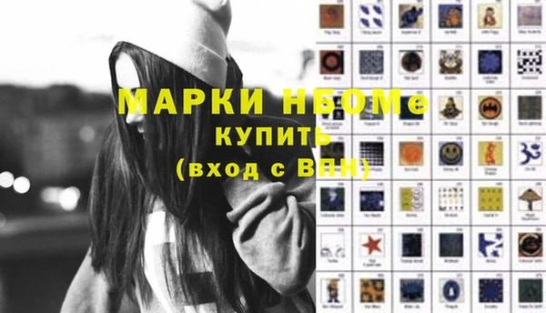сатива Иннополис