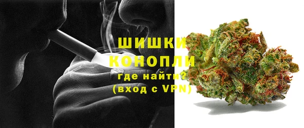 сатива Иннополис